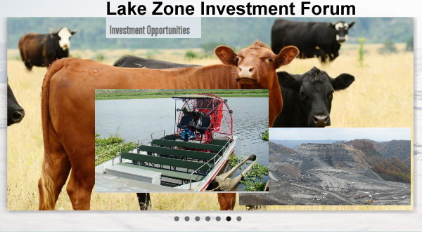 investment opportunities in the lake zone